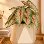Kit de Folhagens Realistas- Caladium