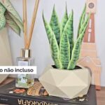 Kit de Folhas Realistas- Espada de São Jorge