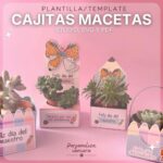 Caixinhas para vasos de plantas - Dia dos Professores (Espanhol)