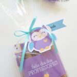 Kit Coruja brownie/chocolate - Dia dos Professores